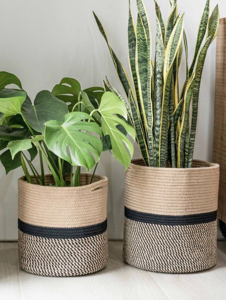 Baskets