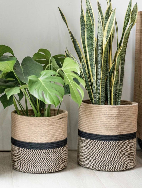 Baskets